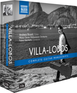 3D_villa-lobos_Edit